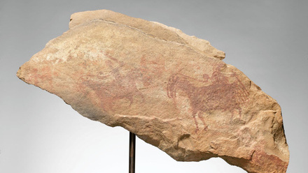 IAP External Seminar.jpg