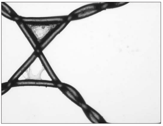 Net after 5 mins soaking in acetone.png