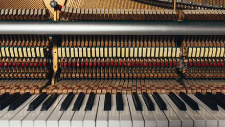 piano keys wood dynamic.jpg