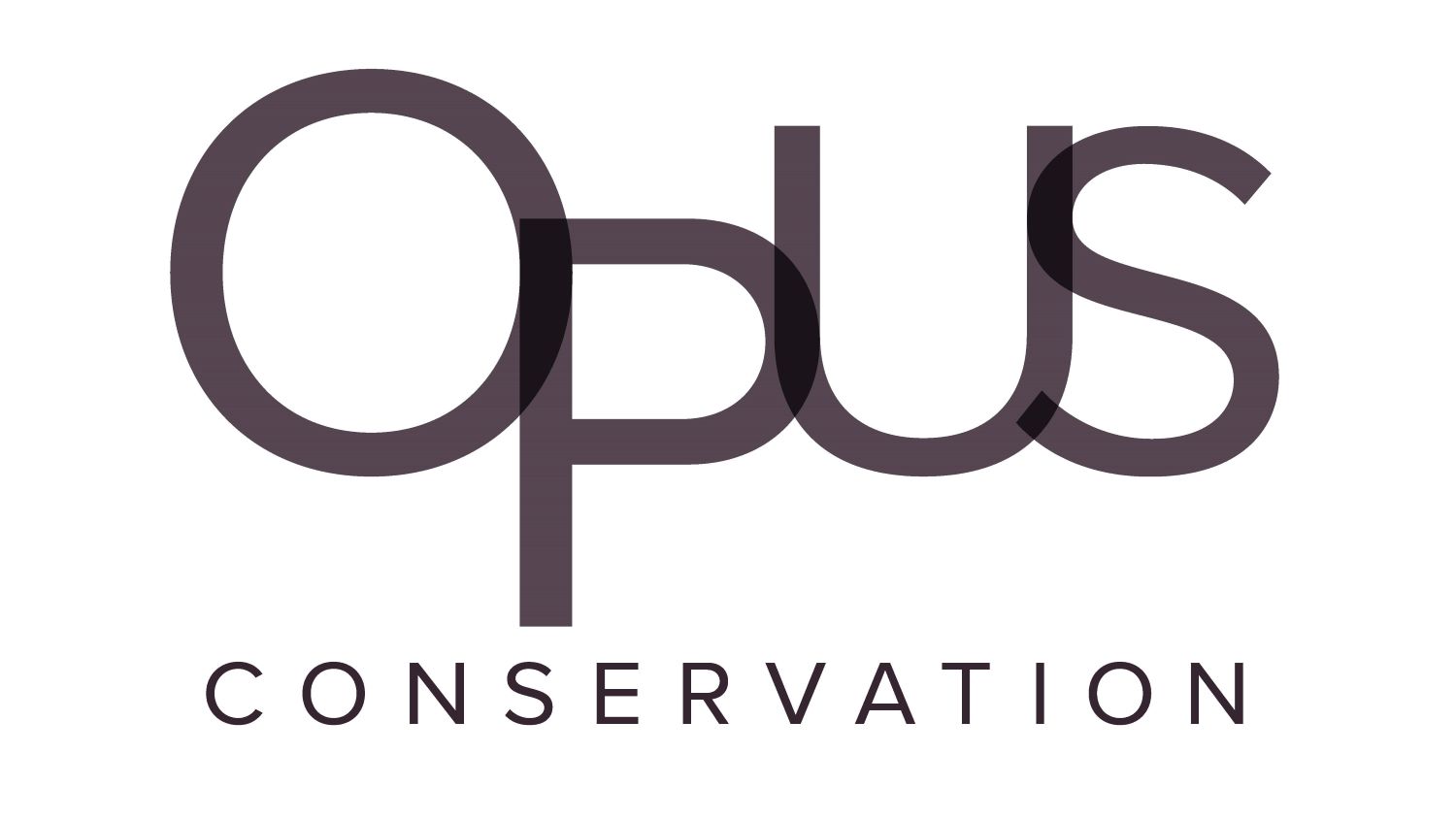 Opus-Logo-text-transparent.jpg 1