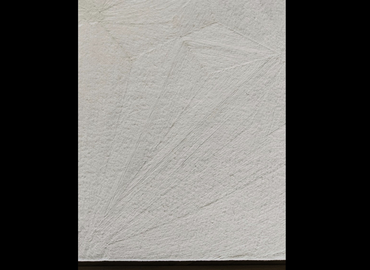 Detail of an Eduardo Terrazas Before Treatment