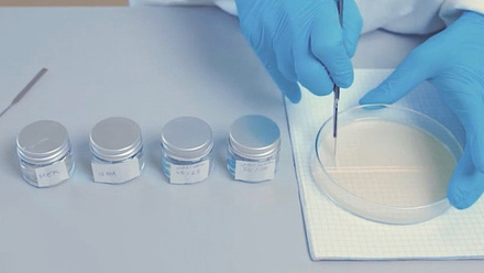 Gels Workshop - London Archives Image (approved for use).jpg