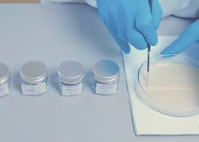 Gels Workshop - London Archives Image (approved for use).jpg