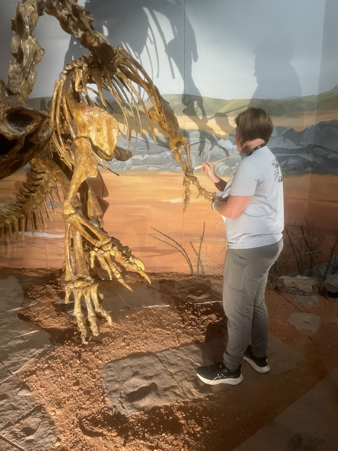 Gwen, Museum Wales Natural History - 2.jpg
