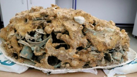 MELSONBY_HOARD_426.jpg 2