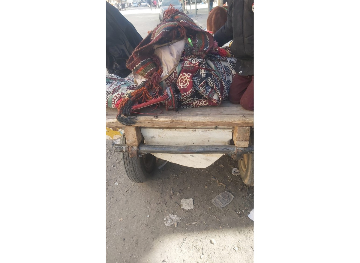 A donkey cart being used to move collections recovered from the Rafah Museum