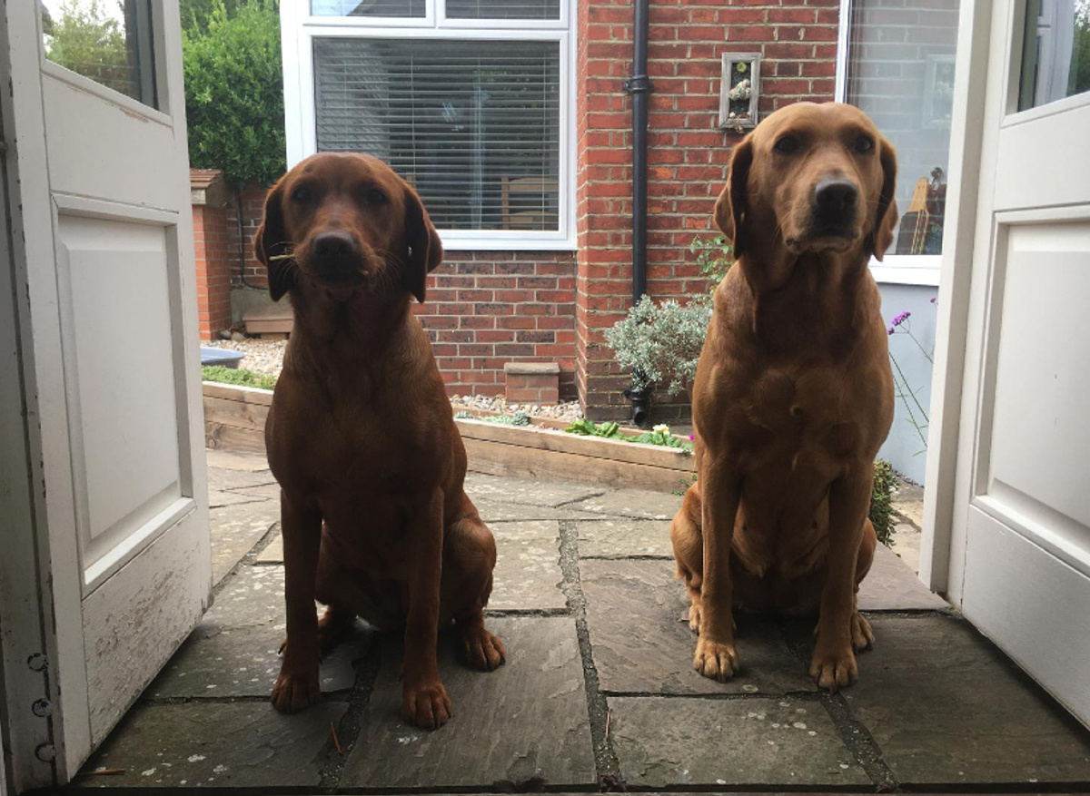 Additional Security