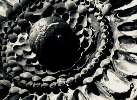 Margate Shell Grotto.jpg