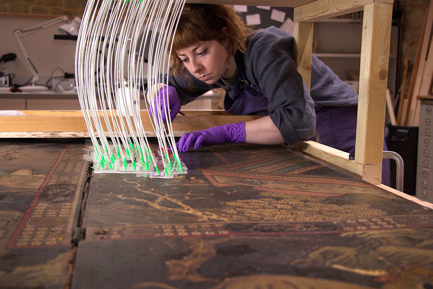 Rebecca Goddard Shimbari Incised Polychrome Lacquer (Kaun Cai) Screen NT Photograph.jpg