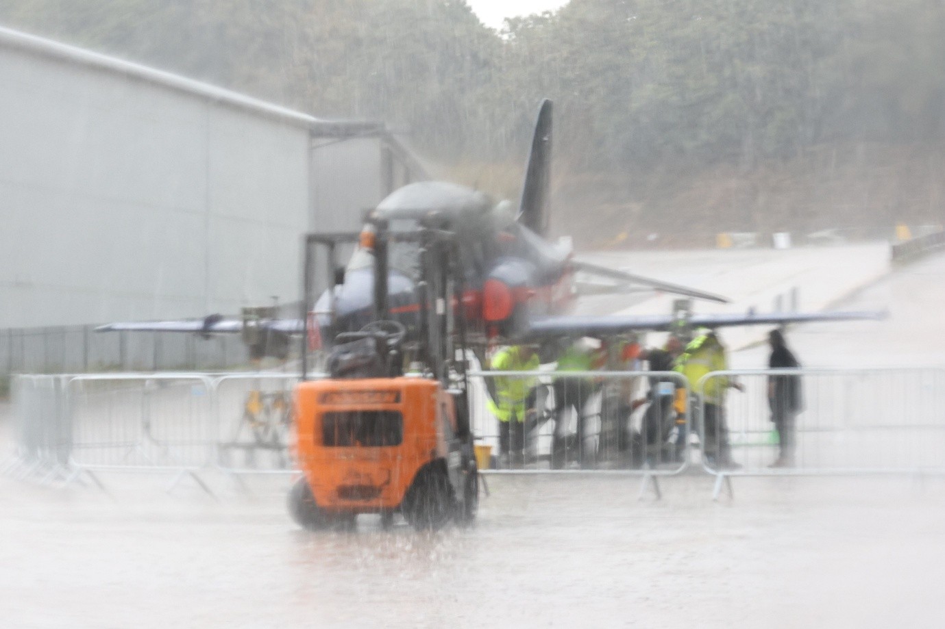 GHAWK Conservation 7.jpg