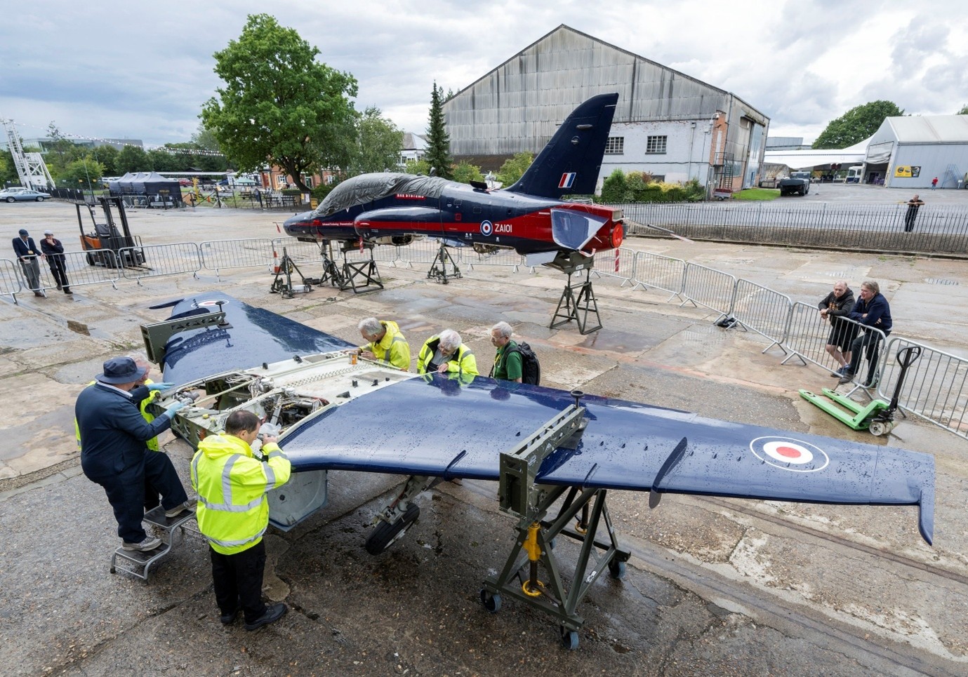 GHAWK Conservation 5.jpg