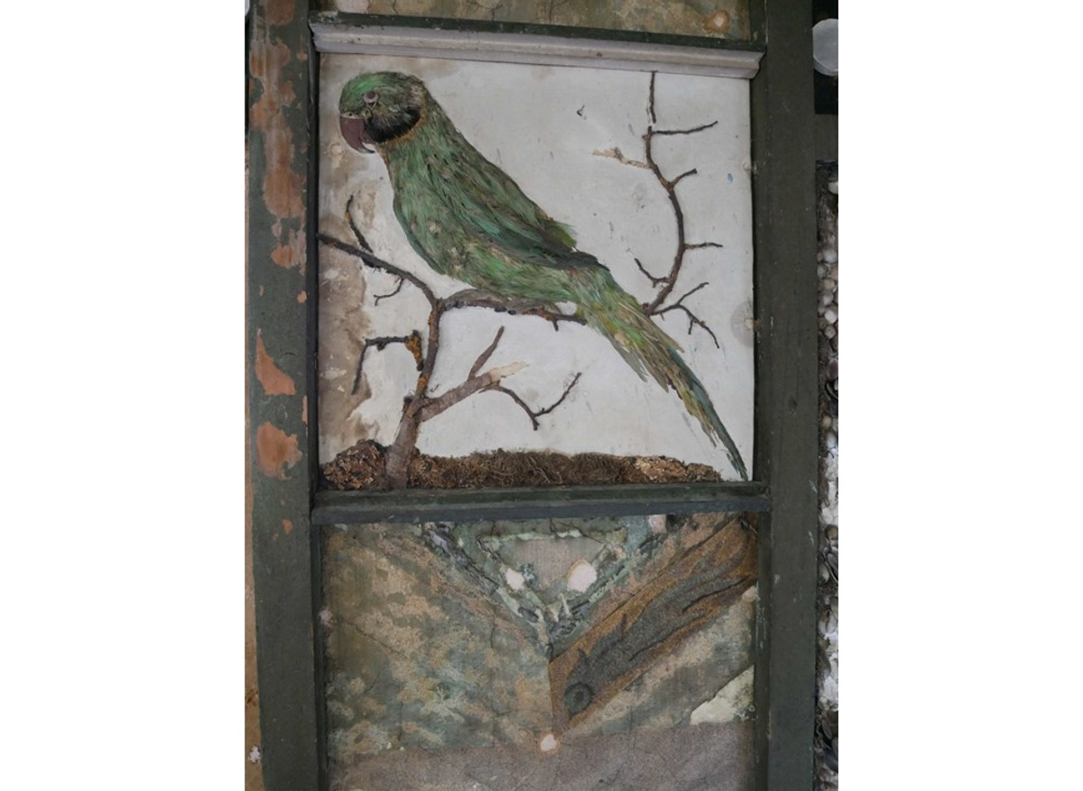 A Shell Gallery bird picture, A la Ronde, The National Trust, after conservation and reinstallation