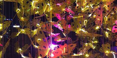 contemporary art plastic butterflies installation.jpg