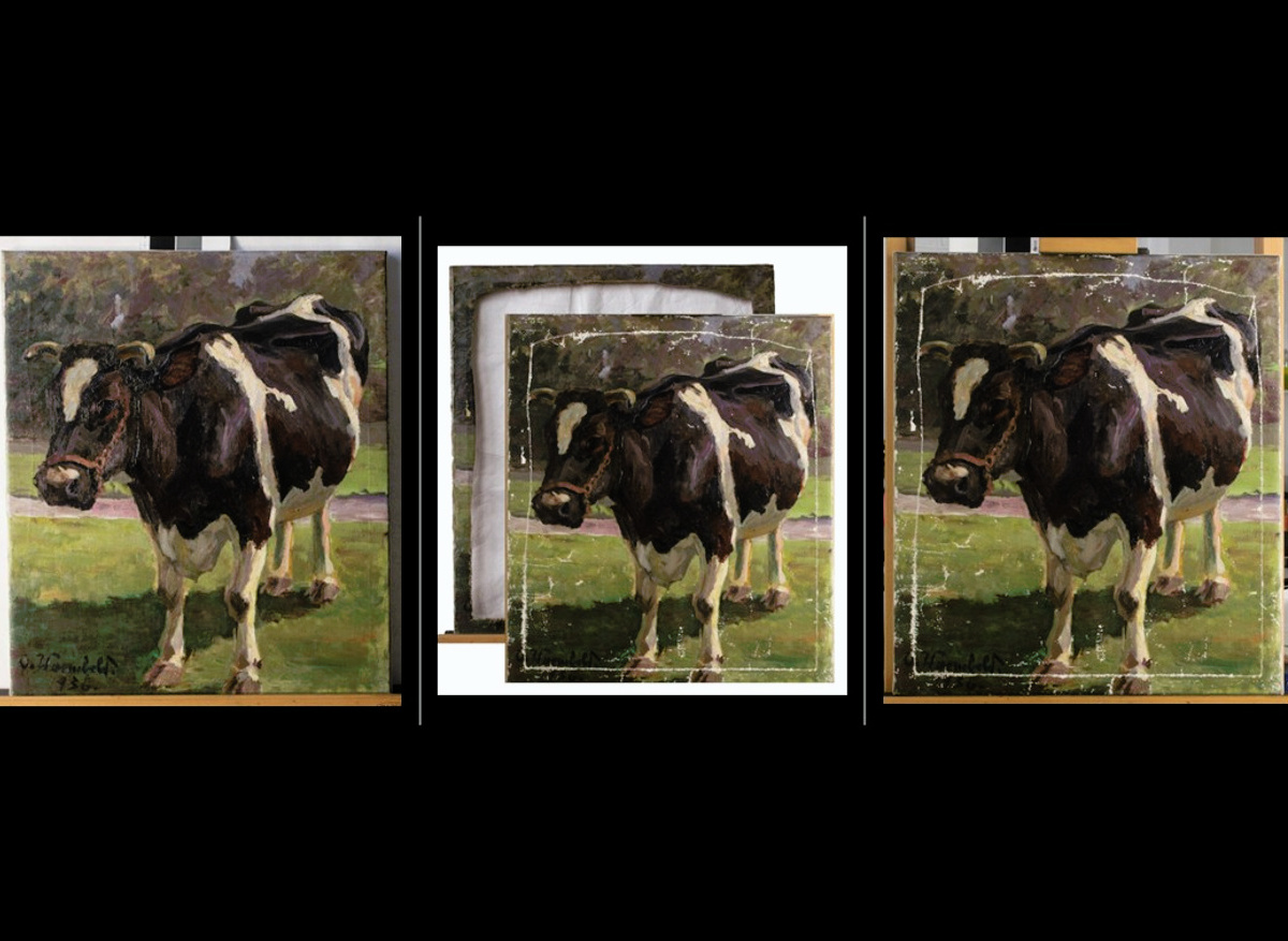  Painting, oil on canvas, Portrait of a Cow