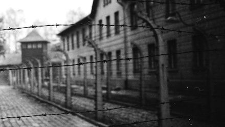 Auschwitz-Birkenau-goran-backman-FLS4mbywaSI-unsplash.jpg