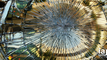 IAP Virtual External Event Banner.png