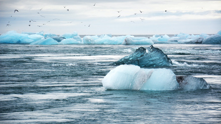 climate iceberg.jpeg