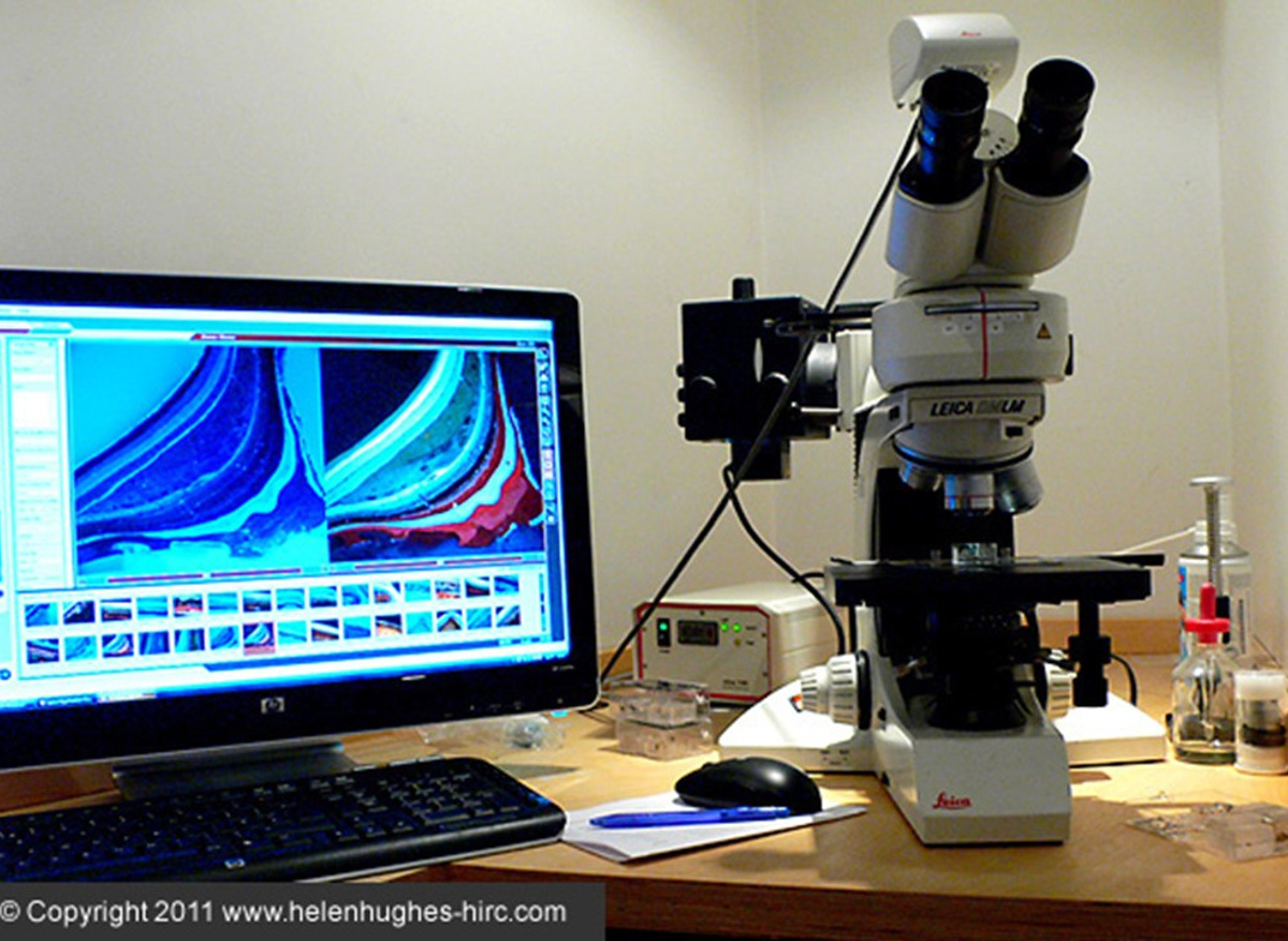 Microscope