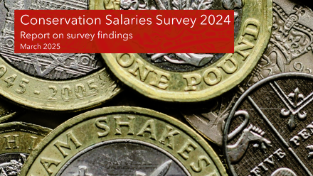 Cons Salaries Survey 2024.png