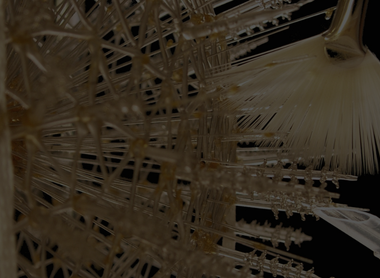 Intern Website Banner (1).png