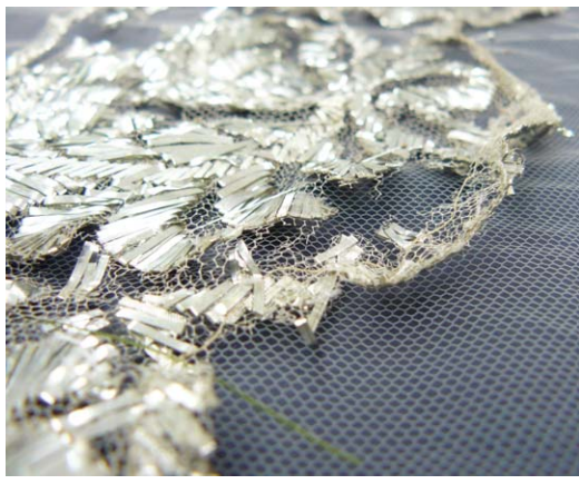Scallop Before Treatment.png