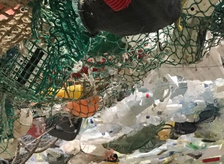 Sea plastic.jpg