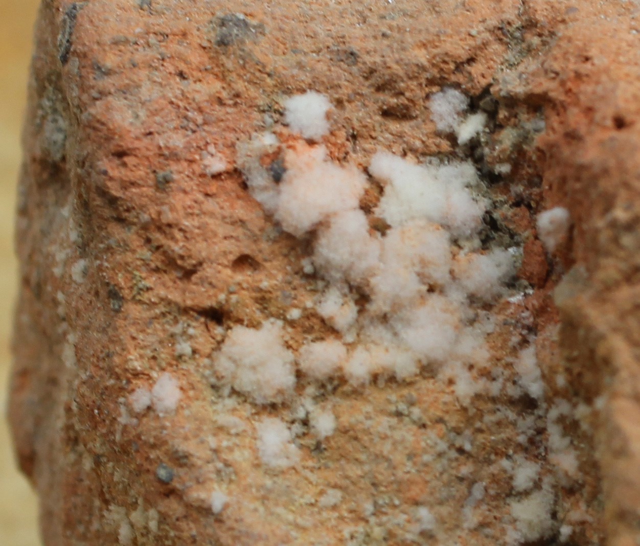 Salts forming on a Mary Rose Brick – Copyright of The Mary Rose Trust .jpg