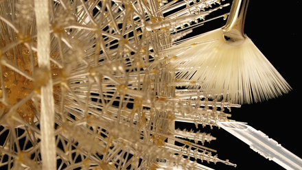 Nigel Williams prize ad image.jpg