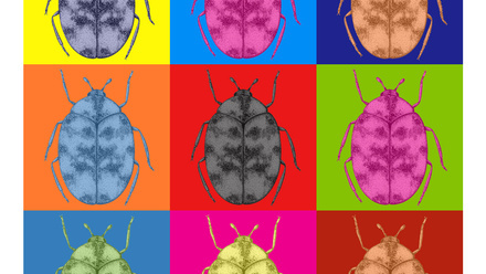 PestOdyssey_master+logo.jpg 1