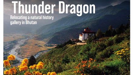 Iconnect Magazine - Autumn 25' Front Page.png 1