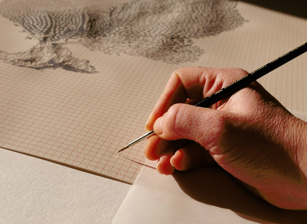 Paper Conservation