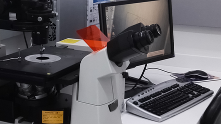 microscopy.png