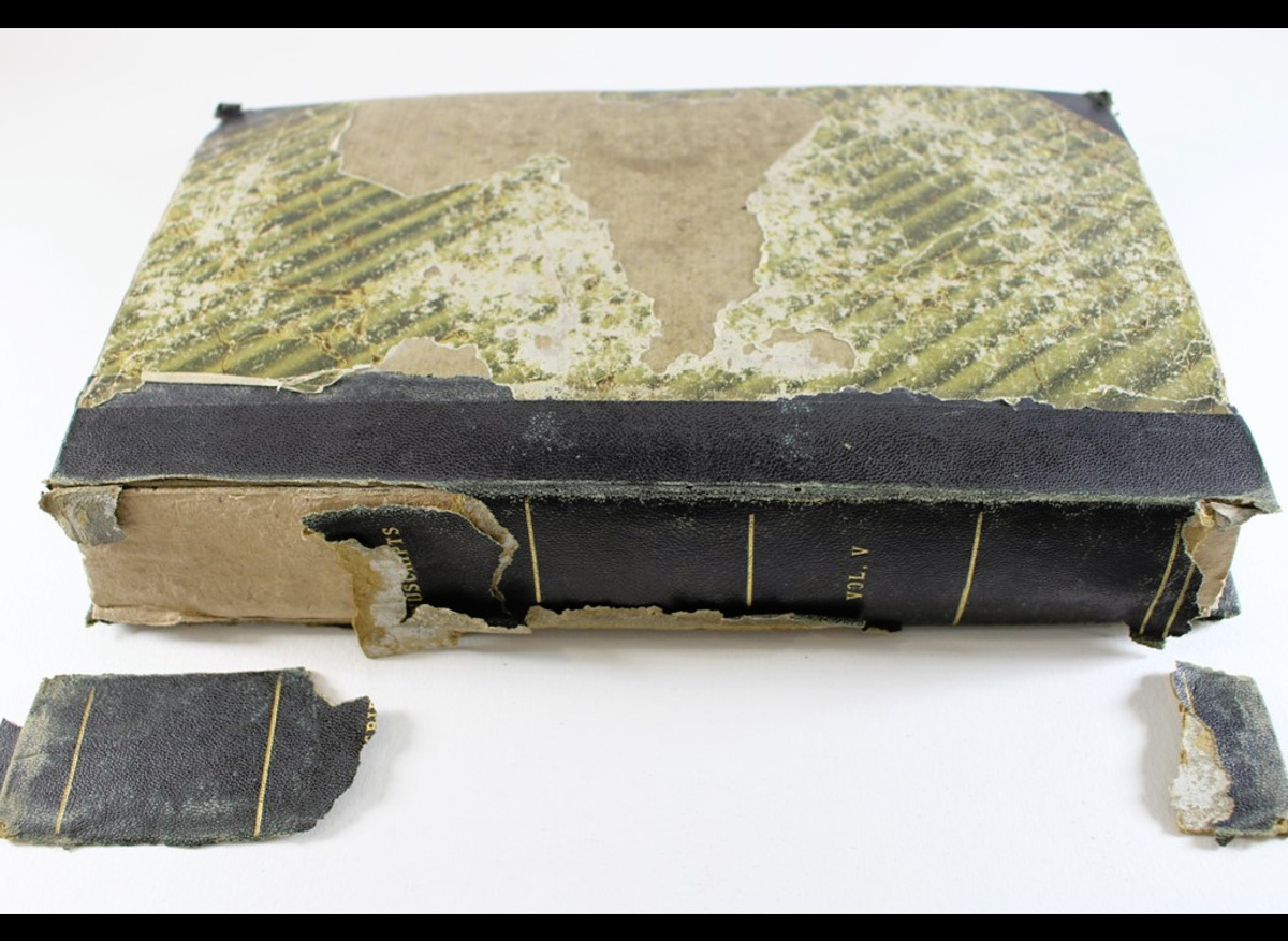 Browne Correspondence Volume 5, Townend – Binding Before Conservation