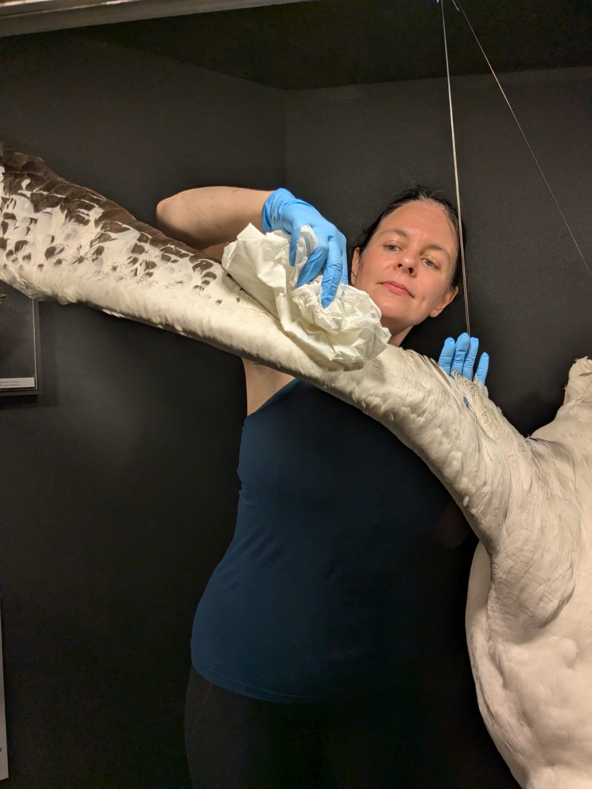 Gwen, Museum Wales Natural History - 7.JPG