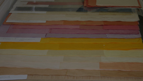 Apprentice Job Advert Banner.jpg
