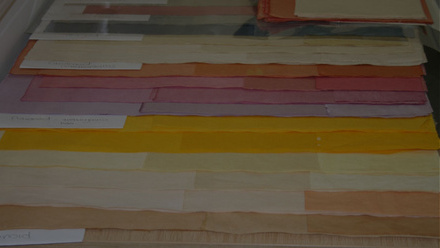 Apprentice Job Advert Banner.jpg