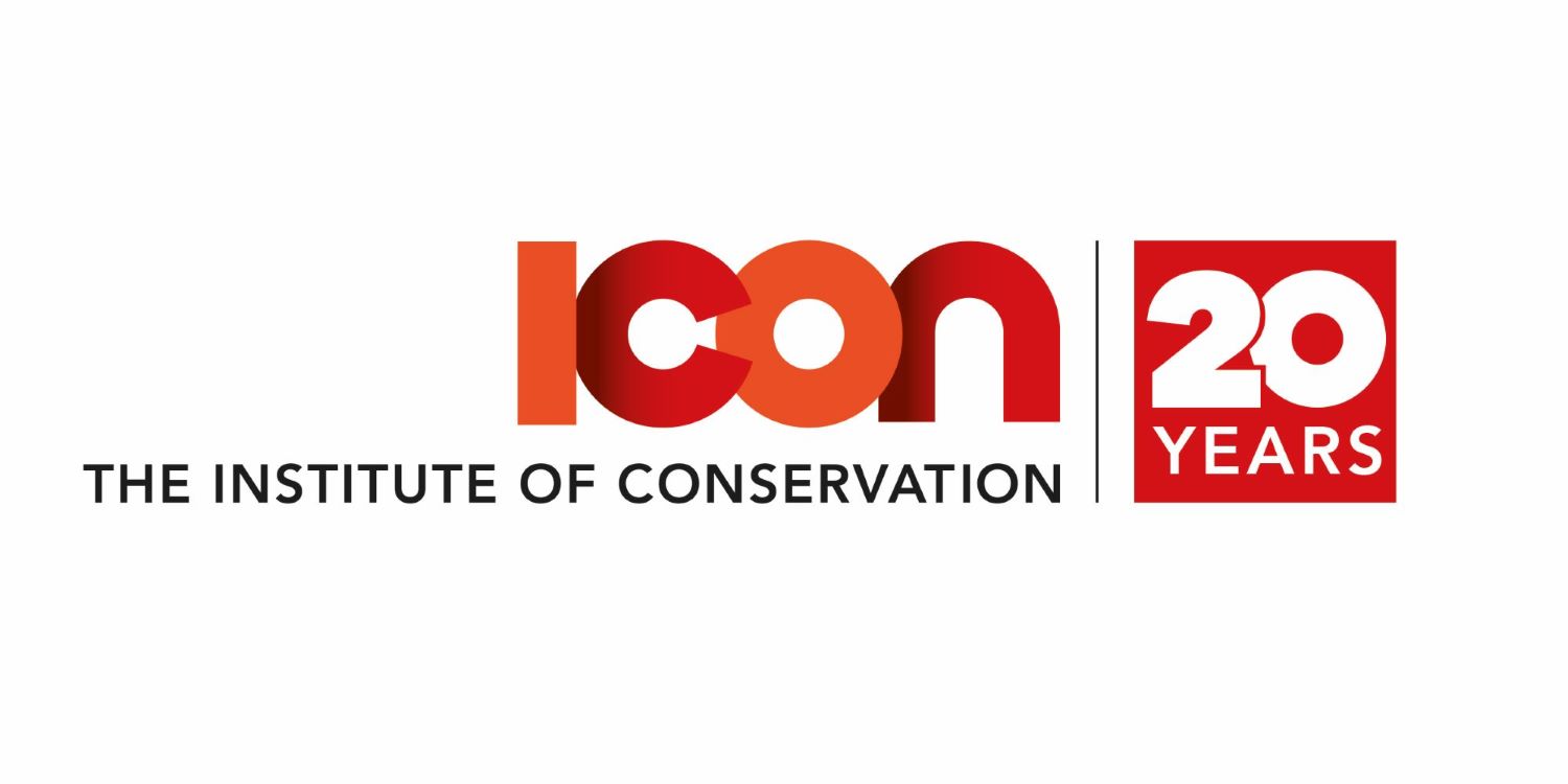 ICON 20 YEARS logo colour 2.jpg