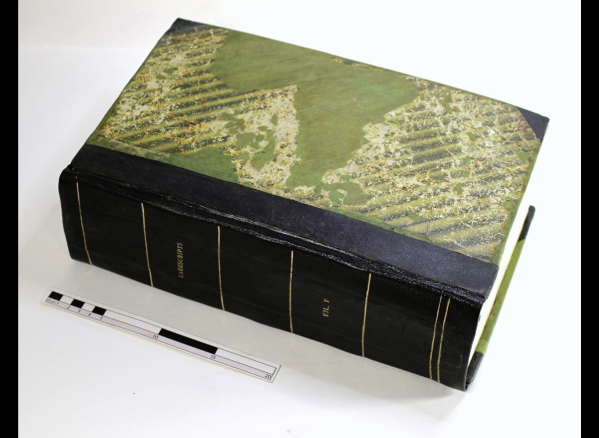 Browne Correspondence Volume 5, Townend – Binding After Conservation