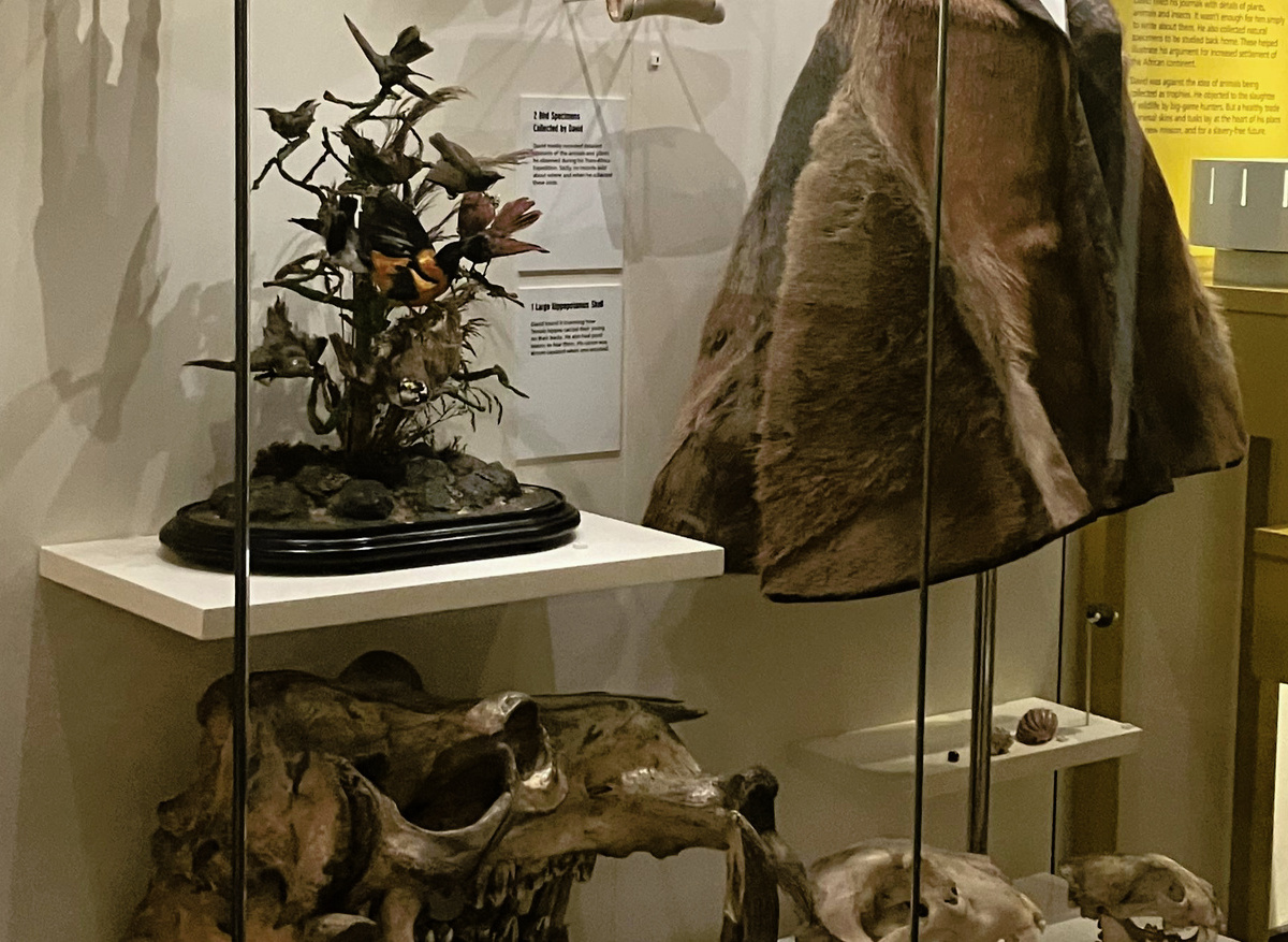 David Livingstone Centre revisited