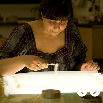 Laura Caradonna-Snow