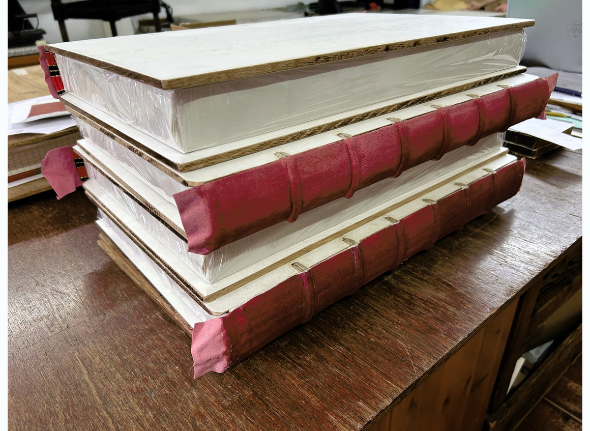 Spines lined with a thin fleshing