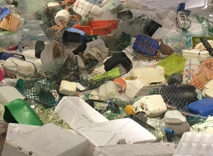 sea plastic 2.jpg