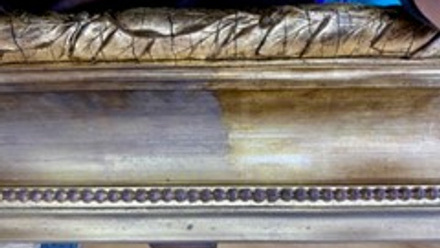 caroline oliver banner.jpg