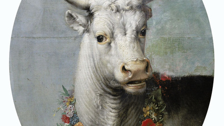 Head+of+a+White+Bull+by+Paulus+Potter,+National+Gallery+of+Ireland.jpg