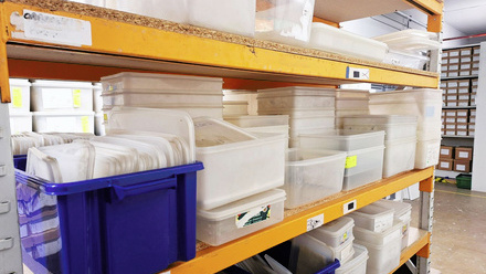 Plastic predicament image thumbnail.jpg