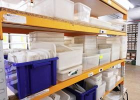 Plastic predicament image thumbnail.jpg