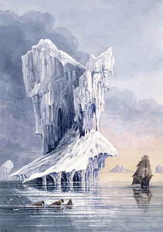 An iceberg, the HMS Terror and some walrus near the entrance of Hudson Strait :by George Back.jpeg